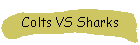 Colts VS Sharks